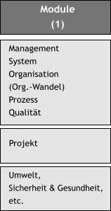 Module (1) Management System Organisation (Org.-Wandel) Prozess Qualitt  Projekt Umwelt, Sicherheit & Gesundheit, etc.