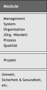 Module Management System Organisation (Org.-Wandel) Prozess Qualitt  Projekt Umwelt, Sicherheit & Gesundheit, etc.