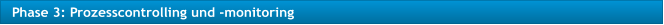 Phase 3: Prozesscontrolling und -monitoring